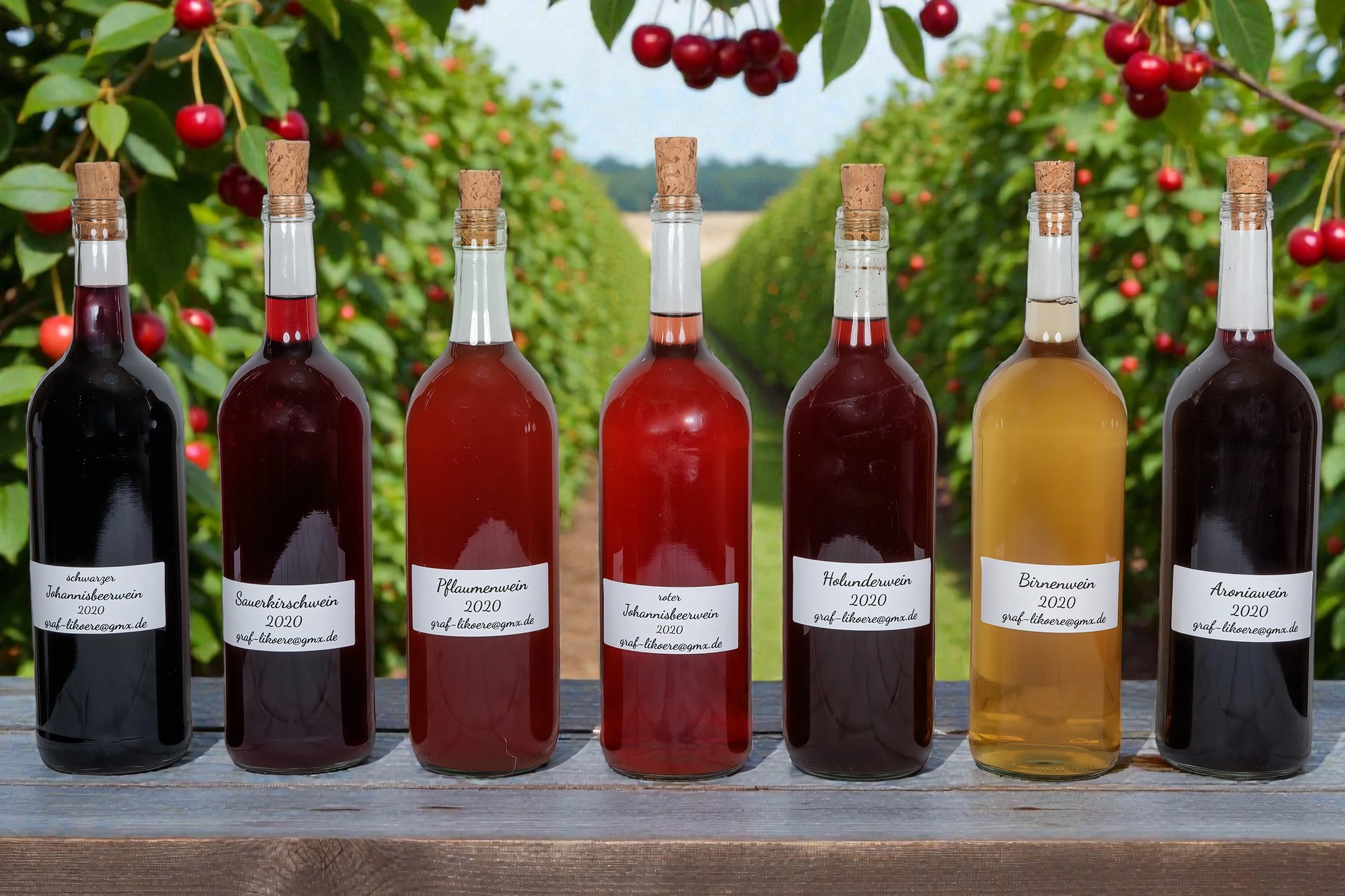 Fruchtweine in Flaschen